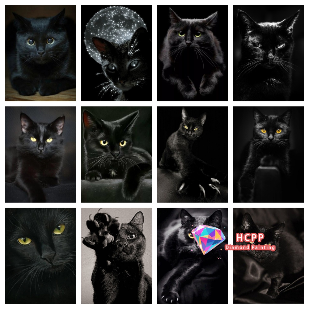 Art Craft Cat - Kit Pittura Diamante Gatto Nero Senza