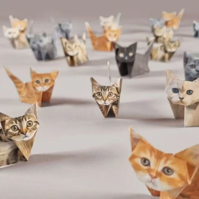 Set Creativo di Origami per Ca - Art Craft Cat recensione e prezzo
