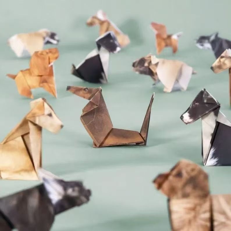 Set Creativo di Origami per Ca - Art Craft Cat recensione e prezzo