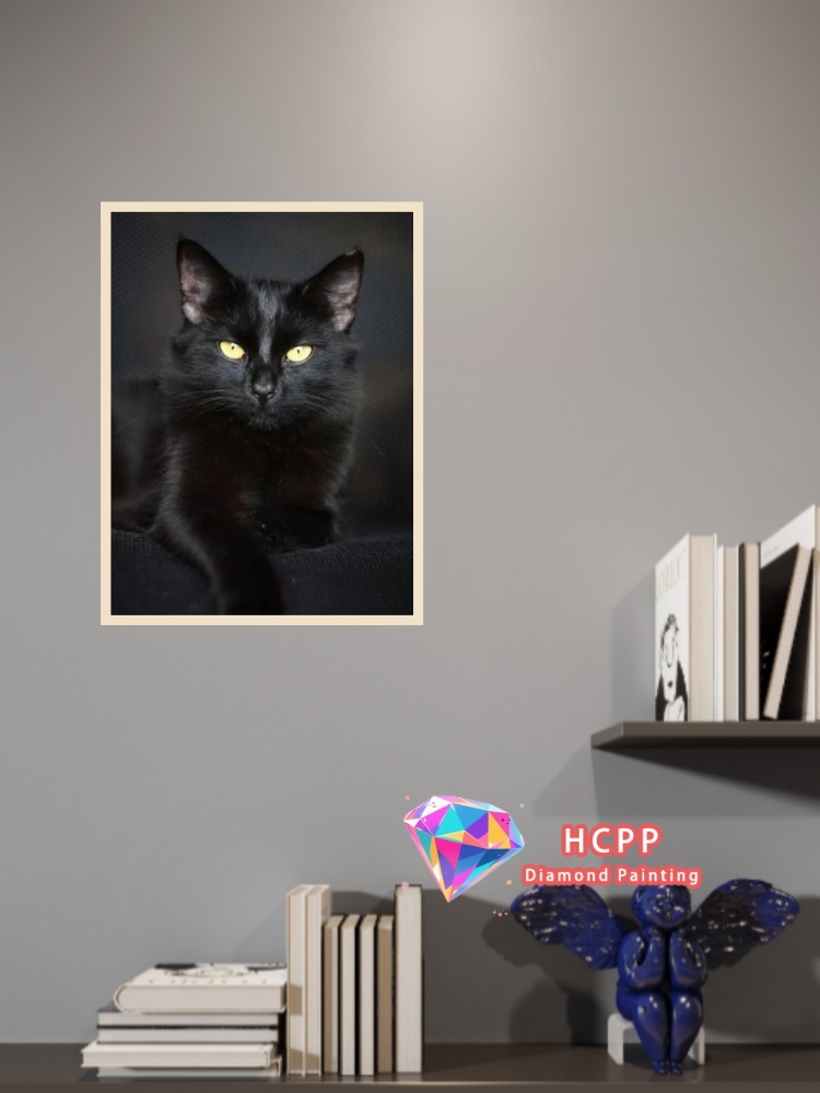 Kit Pittura Diamante Gatto Ner - Art Craft Cat recensione e prezzo